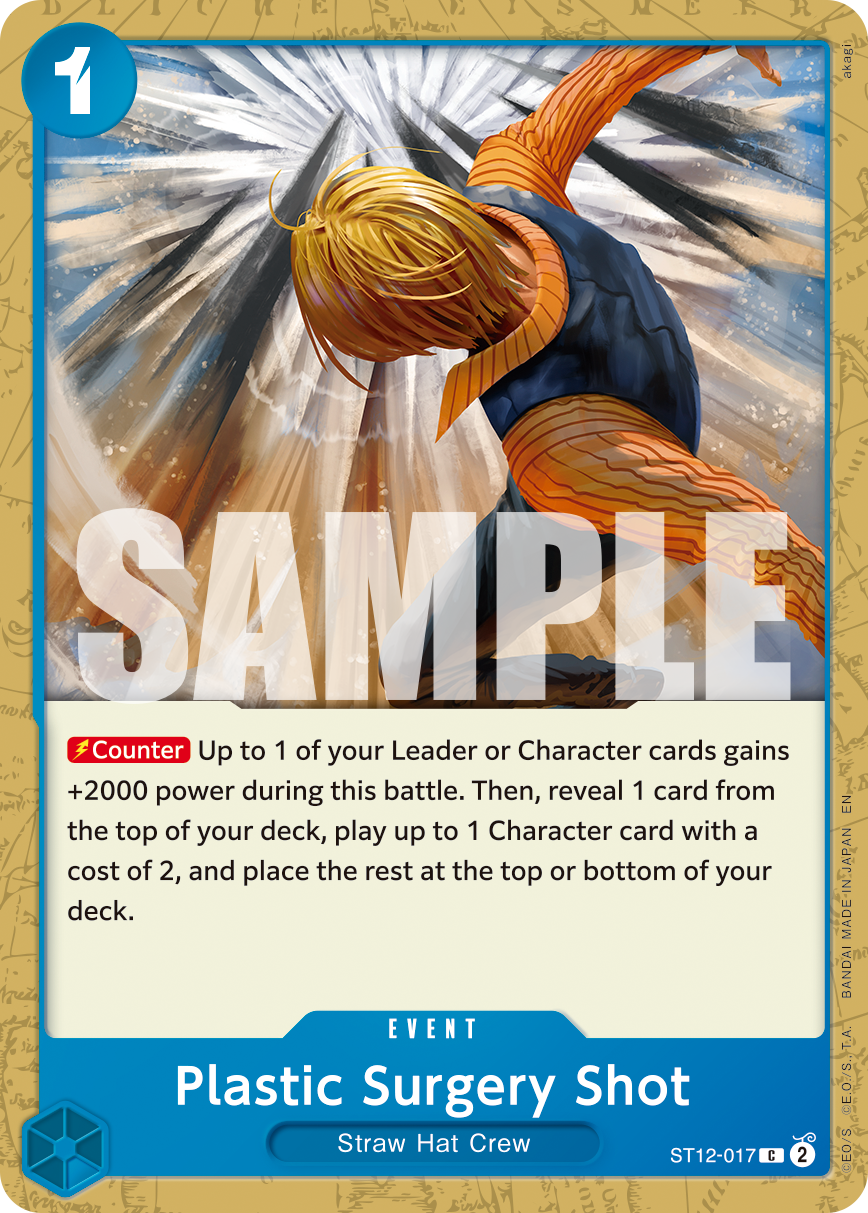 ST12-017_r1, reprint