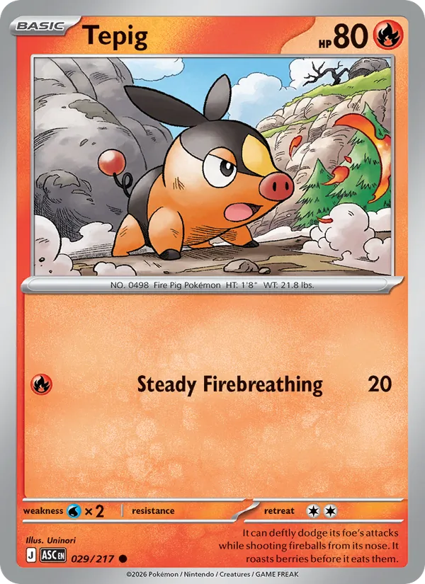 Tepig, normal (me02.5-029)