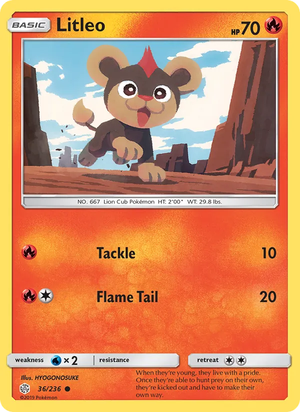 Litleo, normal (sm12-36)