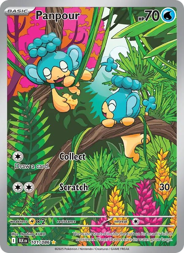 Panpour, holofoil (sv10.5b-101_h)