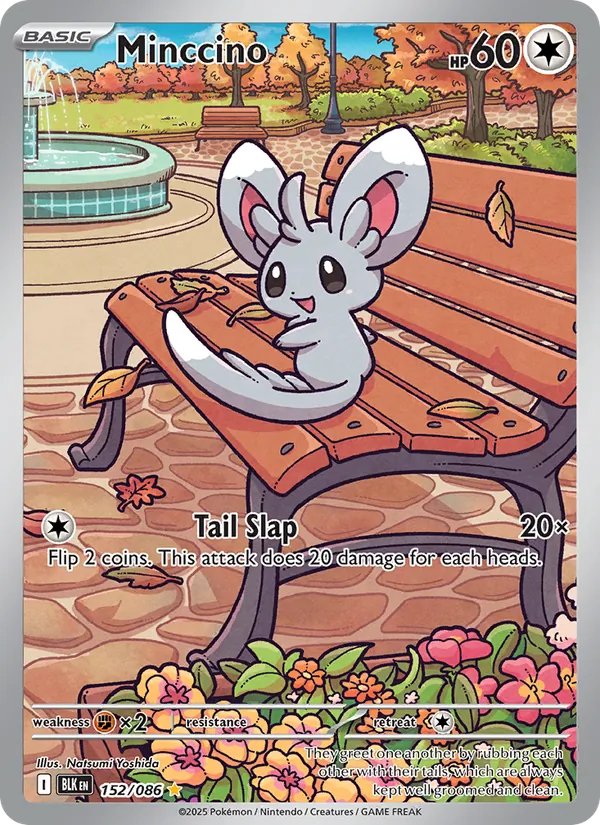 Minccino, holofoil (sv10.5b-152_h)