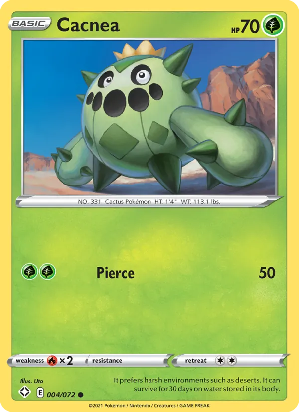 Cacnea, normal (swsh4.5-4)
