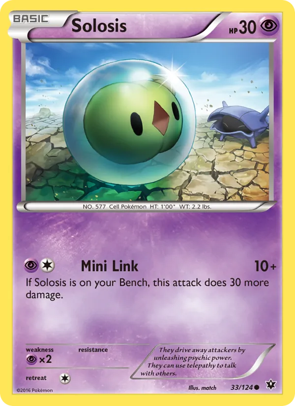 Solosis, normal (xy10-33)