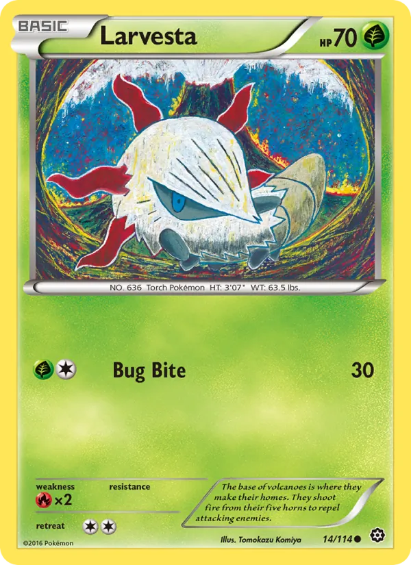 Larvesta, normal (xy11-14)