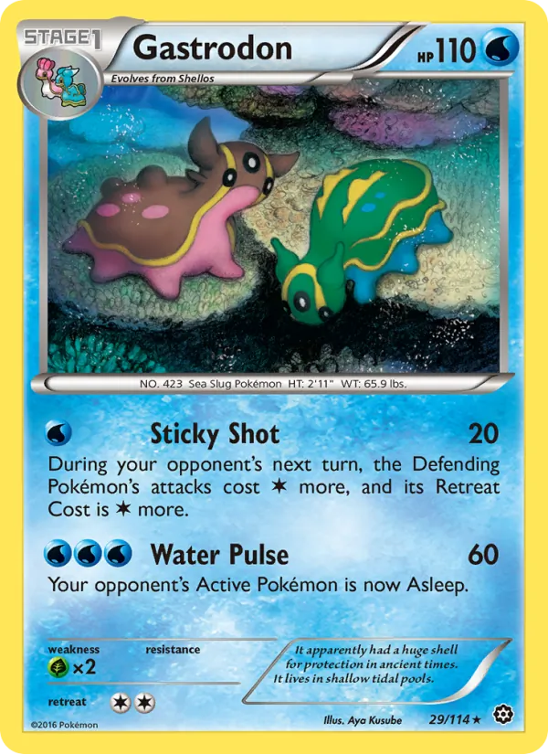 Gastrodon, normal (xy11-29)