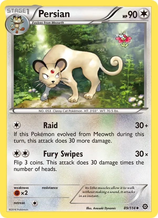 Persian, normal (xy11-89)