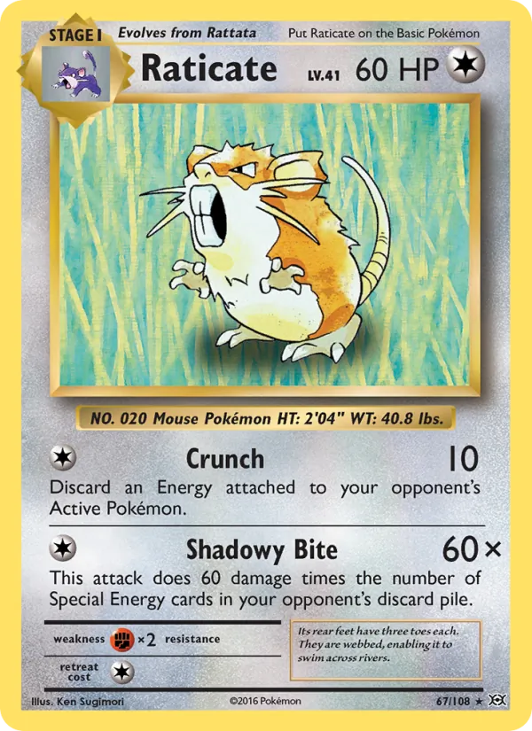 Raticate, normal (xy12-67)