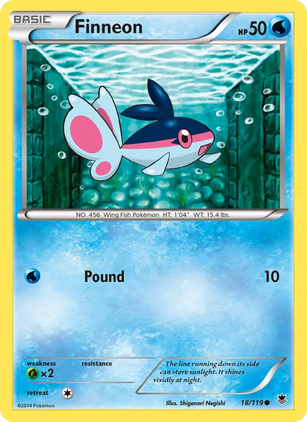 Finneon, normal (xy4-18)