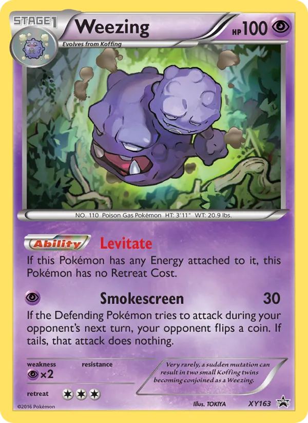 Weezing, normal (xyp-XY163)
